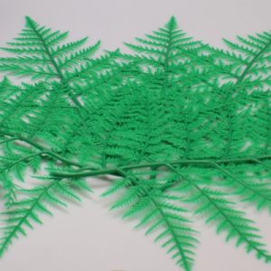 Green Fern